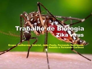 Zika vírus
Grupo: Guilherme, Gabriel, João Paulo, Fernando Rodrigues,
Natália e Fernando Cardoso
 