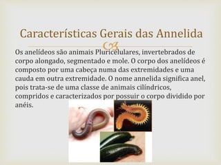 Os anelídeos são animais Pluricelulares, invertebrados de
corpo alongado, segmentado e mole. O corpo dos anelídeos é
composto por uma cabeça numa das extremidades e uma
cauda em outra extremidade. O nome annelida significa anel,
pois trata-se de uma classe de animais cilíndricos,
compridos e caracterizados por possuir o corpo dividido por
anéis.
Características Gerais das Annelida
 