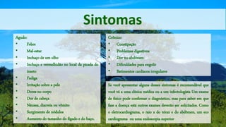 Sintomas
Agudo:
• Febre
• Mal-estar
• Inchaço de um olho
• Inchaço e vermelhidão no local da picada do
inseto
• Fadiga
• Irritação sobre a pele
• Dores no corpo
• Dor de cabeça
• Náusea, diarreia ou vômito
• Surgimento de nódulos
• Aumento do tamanho do fígado e do baço.
Crônico:
• Constipação
• Problemas digestivos
• Dor no abdômen
• Dificuldades para engolir
• Batimentos cardíacos irregulares
Se você apresentar alguns desses sintomas é recomendável que
você vá a uma clínica médica ou a um infectologista Um exame
de físico pode confirmar o diagnóstico, mas para saber em que
fase a doença está outros exames deverão ser solicitados. Como
o eletrocardiograma, o raio x do tórax e do abdômen, um eco
cardiograma ou uma endoscopia superior
 