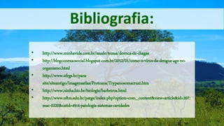 Bibliografia:
• http://www.minhavida.com.br/saude/temas/doenca-de-chagas
• http://blogconexaosocial.blogspot.com.br/2012/01/como-o-virus-da-dengue-age-no-
organismo.html
• http://www.ufrgs.br/para-
site/siteantigo/Imagensatlas/Protozoa/Trypanosomacruzi.htm
• http://www.ninha.bio.br/biologia/barbeiros.html
• http://www.uftm.edu.br/patge/index.php?option=com_content&view=article&id=207:
mac-0220&catid=49:4-patologia-sistemas-cavidades
 