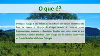 Doença de Chagas é uma inflamação causada por um parasita encontrado em
fezes de insetos. A Doença de Chagas também é conhecida como
tripanossomíase americana e chaguismo. Recebeu esse nome graças ao seu
descobridor, o médico brasileiro Carlos Chagas que foi indicado quatro vezes
ao Prêmio Nobel de Medicina e Fisiologia.
O que é?
 