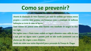 Como se prevenir?
Através da eliminação do vetor (barbeiro), por meio de medidas que tornem menos
propício o convívio deste próximo aos humanos, como a construção de melhores
habitações ao invés de casas de barros.
Fazer exames em pessoas antes delas fazerem uma transfusão de sangue ou doar
um órgão.
Em regiões como o Norte tomar cuidado ao ingerir alimentos como caldo de cana
e açaí, pois em alguns casos o parasita pode ter sido moído juntamente com as
plantas que dão origem a esses alimentos.
Ainda não existe uma vacina disponível para a prevenção da Doença de Chagas.
 