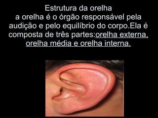 Estrutura da orelha a orelha é o órgão responsável pela audição e pelo equilíbrio do corpo.Ela é composta de três partes: orelha externa, orelha média e orelha interna. 