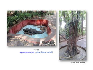 Jacaré
www.google.com.br – obras deoscar valzachi
Tronco de árvore
 
