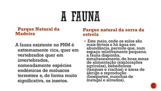 Parque Natural da
Madeira
A fauna existente no PNM é
extremamente rica, quer em
vertebrados quer em
invertebrados,
nomeadamente espécies
endémicas de moluscos
terrestres e, de forma muito
significativa, os insetos.
Parque natural da serra da
estrela
▪ Este meio, onde os solos são
mais férteis e há água em
abundância, permite que, num
espaço relativamente pequeno,
a fauna disponha,
simultaneamente, de boas zonas
de alimentação (explorações
agrícolas), bebedouros
(tanques e riachos) e áreas de
abrigo e reprodução
(bosquetes, manchas de
matagal e silvados).
 