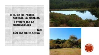 Trabalho de ciencias