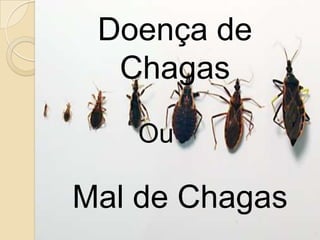 Doença de
Chagas
Ou
Mal de Chagas
 