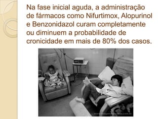 Na fase inicial aguda, a administração
de fármacos como Nifurtimox, Alopurinol
e Benzonidazol curam completamente
ou diminuem a probabilidade de
cronicidade em mais de 80% dos casos.
 