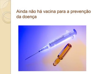 Ainda não há vacina para a prevenção
da doença
 
