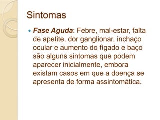Sintomas
 Fase Aguda: Febre, mal-estar, falta
de apetite, dor ganglionar, inchaço
ocular e aumento do fígado e baço
são alguns sintomas que podem
aparecer inicialmente, embora
existam casos em que a doença se
apresenta de forma assintomática.
 