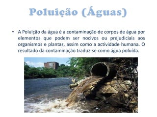 • A Poluição da água é a contaminação de corpos de água por
  elementos que podem ser nocivos ou prejudiciais aos
  organismos e plantas, assim como a actividade humana. O
  resultado da contaminação traduz-se como água poluída.
 