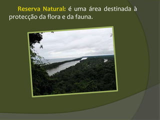 Reserva Natural: é uma área destinada à
protecção da flora e da fauna.
 