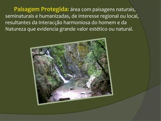 Paisagem Protegida: área com paisagens naturais,
seminaturais e humanizadas, de interesse regional ou local,
resultantes da interacção harmoniosa do homem e da
Natureza que evidencia grande valor estético ou natural.
 