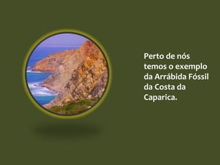 Perto de nós
temos o exemplo
da Arrábida Fóssil
da Costa da
Caparica.
 