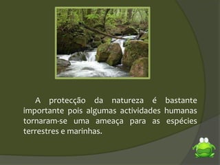 A protecção da natureza é bastante
importante pois algumas actividades humanas
tornaram-se uma ameaça para as espécies
terrestres e marinhas.
 