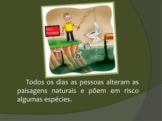 Todos os dias as pessoas alteram as
paisagens naturais e põem em risco
algumas espécies.
 
