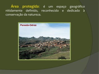 Área protegida: é um espaço geográfico
nitidamente definido, reconhecido e dedicado à
conservação da natureza.
 