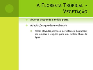 A FLORESTA TROPICAL -
VEGETAÇÃO
 Árvores de grande e médio porte.
 Adaptações que desenvolveram
 folhas elevadas, densas e persistentes. Costumam
ser amplas e esguias para um melhor fluxo de
água.
 