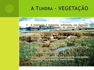 A TUNDRA - VEGETAÇÃO
 