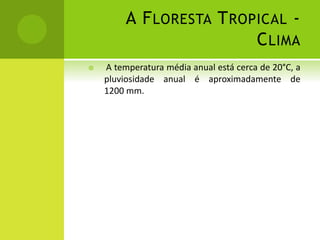 A FLORESTA TROPICAL -
CLIMA
 A temperatura média anual está cerca de 20°C, a
pluviosidade anual é aproximadamente de
1200 mm.
 