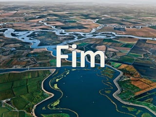 Trabalho de ciencias