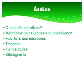 O que são micróbios?
Micróbios unicelulares e pluricelulares
Habitats dos micróbios
Imagens
Curiosidades
Bibliografia
Índice
 