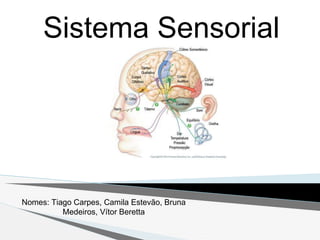 Sistema Sensorial
Nomes: Tiago Carpes, Camila Estevão, Bruna
Medeiros, Vítor Beretta
 
