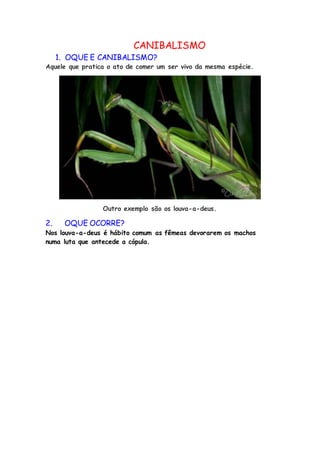 CANIBALISMO
1. OQUE E CANIBALISMO?
Aquele que pratica o ato de comer um ser vivo da mesma espécie.
Outro exemplo são os louva-a-deus.
2. OQUE OCORRE?
Nos louva-a-deus é hábito comum as fêmeas devorarem os machos
numa luta que antecede a cópula.
 