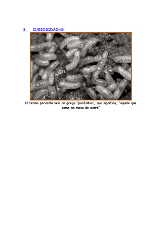 3. CURIOSIDADES!
O termo parasita veio do grego “parásitos”, que significa, “aquele que
come na mesa de outro”
 