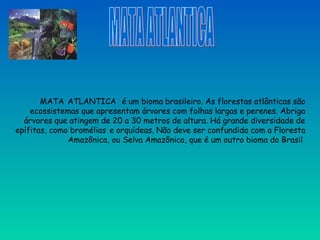 MATA ATLANTICA é um bioma brasileiro. As florestas atlânticas são
ecossistemas que apresentam árvores com folhas largas e perenes. Abriga
árvores que atingem de 20 a 30 metros de altura. Há grande diversidade de
epífitas, como bromélias e orquídeas. Não deve ser confundida com a Floresta
Amazônica, ou Selva Amazônica, que é um outro bioma do Brasil
 