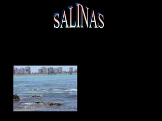 Salinas é um sal salgado que tem debaixo do mar.
 