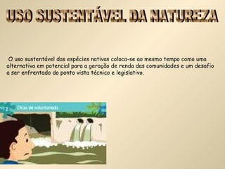 O uso sustentável das espécies nativas coloca-se ao mesmo tempo como uma
alternativa em potencial para a geração de renda das comunidades e um desafio
a ser enfrentado do ponto vista técnico e legislativo.
 