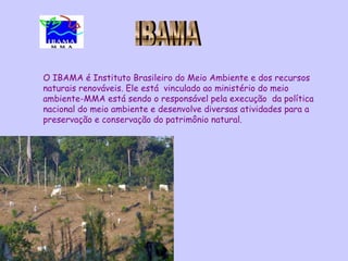 O IBAMA é Instituto Brasileiro do Meio Ambiente e dos recursos
naturais renováveis. Ele está vinculado ao ministério do meio
ambiente-MMA está sendo o responsável pela execução da política
nacional do meio ambiente e desenvolve diversas atividades para a
preservação e conservação do patrimônio natural.
 