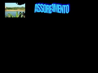 Assoreamento é a obstrução, por sedimentos, areia ou detritos quais quer,
de um estuário, rio, ou canais. Pode ser causador de redução da correnteza.
No Brasil é uma das causas de morte de rios, devido à redução de
profundidade. Os processos erosivos, causados pelas águas, ventos e
processos químicos, antrópicos e físicos, desagregam solos e rochas
formando sedimentos que serão transportados. O depósito destes
sedimentos constitui o fenômeno do assoreamento.
 