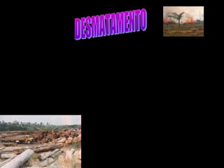 Desflorestação, desflorestamento ou desmatamento é o processo de
desaparecimento de massas florestais, fundamentalmente causada pela
atividade humana. A desflorestação é diretamente causado pela ação do homem
sobre a natureza, principalmente devido à destruição de florestas para a
obtenção de solo para cultivos agrícolas e pela extração da indústria madeireira.
 