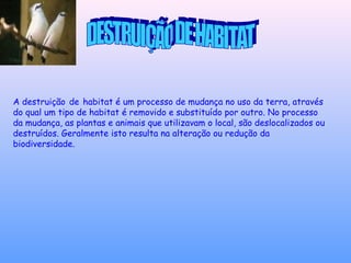 A destruição de habitat é um processo de mudança no uso da terra, através
do qual um tipo de habitat é removido e substituído por outro. No processo
da mudança, as plantas e animais que utilizavam o local, são deslocalizados ou
destruídos. Geralmente isto resulta na alteração ou redução da
biodiversidade.
 