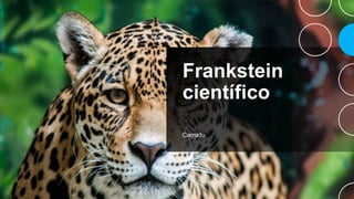 Frankstein
científico
Cerrado
 