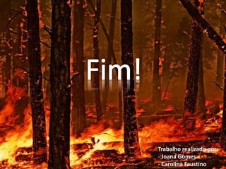 Trabalho realizado por:
- Joana Gomes
- Carolina Faustino