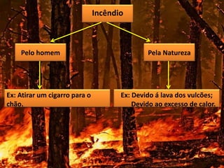 Incêndio
Pelo homem Pela Natureza
Ex: Devido á lava dos vulcões;
Devido ao excesso de calor.
Ex: Atirar um cigarro para o
chão.