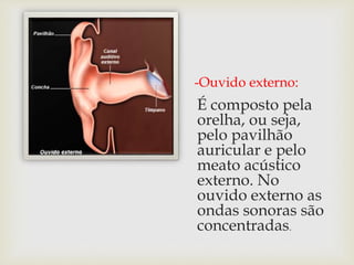 -Ouvido externo:
É composto pela
orelha, ou seja,
pelo pavilhão
auricular e pelo
meato acústico
externo. No
ouvido externo as
ondas sonoras são
concentradas.
 