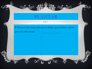 PLANTAR

 Plantar é bom ainda mais para as abelhas que recolhem o néctar
para a sua alimentação
 