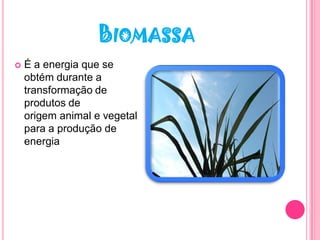 BIOMASSA
   É a energia que se
    obtém durante a
    transformação de
    produtos de
    origem animal e vegetal
    para a produção de
    energia
 