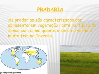 Trabalho De Ciencias Sobre Biomas