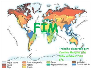 Trabalho De Ciencias Sobre Biomas