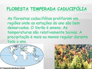 Trabalho De Ciencias Sobre Biomas