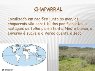 Trabalho De Ciencias Sobre Biomas