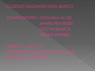 COLÉGIO SALESIANO DOM BOSCO

COMPONENTES: GIOVANA ALVES
             JANINE PRAXEDES
             LETICYA BIANCA
             VITÓRIA PEREIRA

TURMA: 7° ANO “C”
PROFESSORA: DANIELE GONÇALVES
DISCIPLINA: CIÊNCIAS
 