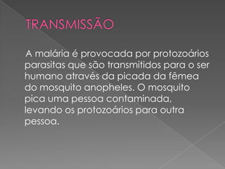 A malária é provocada por protozoários
parasitas que são transmitidos para o ser
humano através da picada da fêmea
do mosquito anopheles. O mosquito
pica uma pessoa contaminada,
levando os protozoários para outra
pessoa.
 