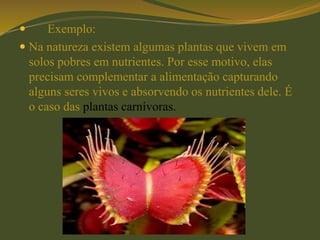 Exemplo:
 Na natureza existem algumas plantas que vivem em
solos pobres em nutrientes. Por esse motivo, elas
precisam complementar a alimentação capturando
alguns seres vivos e absorvendo os nutrientes dele. É
o caso das plantas carnívoras.
 