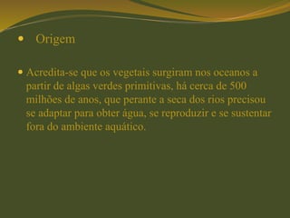  Origem
 Acredita-se que os vegetais surgiram nos oceanos a
partir de algas verdes primitivas, há cerca de 500
milhões de anos, que perante a seca dos rios precisou
se adaptar para obter água, se reproduzir e se sustentar
fora do ambiente aquático.
 